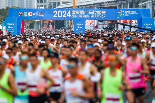 厦门马拉松爆料视频最新,精彩瞬间与感人瞬间大盘点